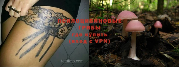а пвп мука Армянск