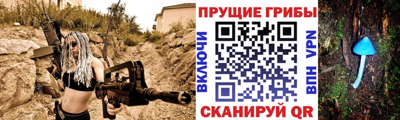 закладки  Мценск  OMG вход  Псилоцибиновые грибы ЛСД 